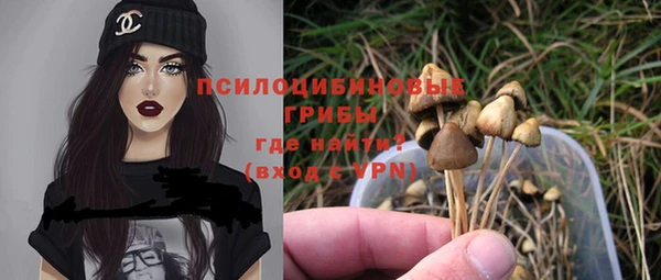 бутират Бородино