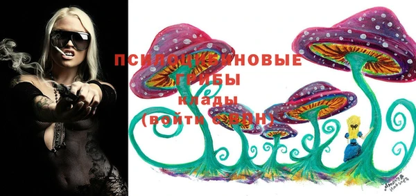 бутират Бородино