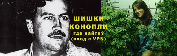 СК Бронницы